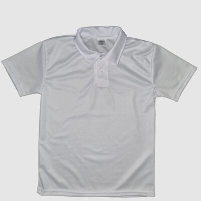 Camisa tipo polo escolar | 4476 G | Talla XS(16)